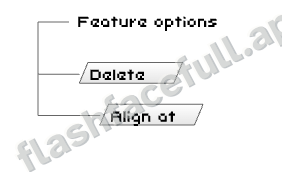 Flash Face Full Feature Options panel with delete control